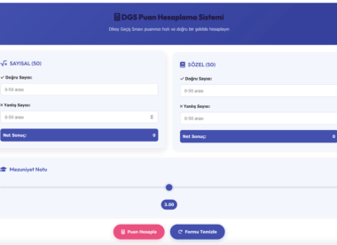 dgs puan hesaplama