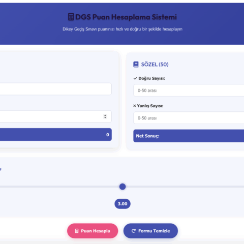 dgs puan hesaplama